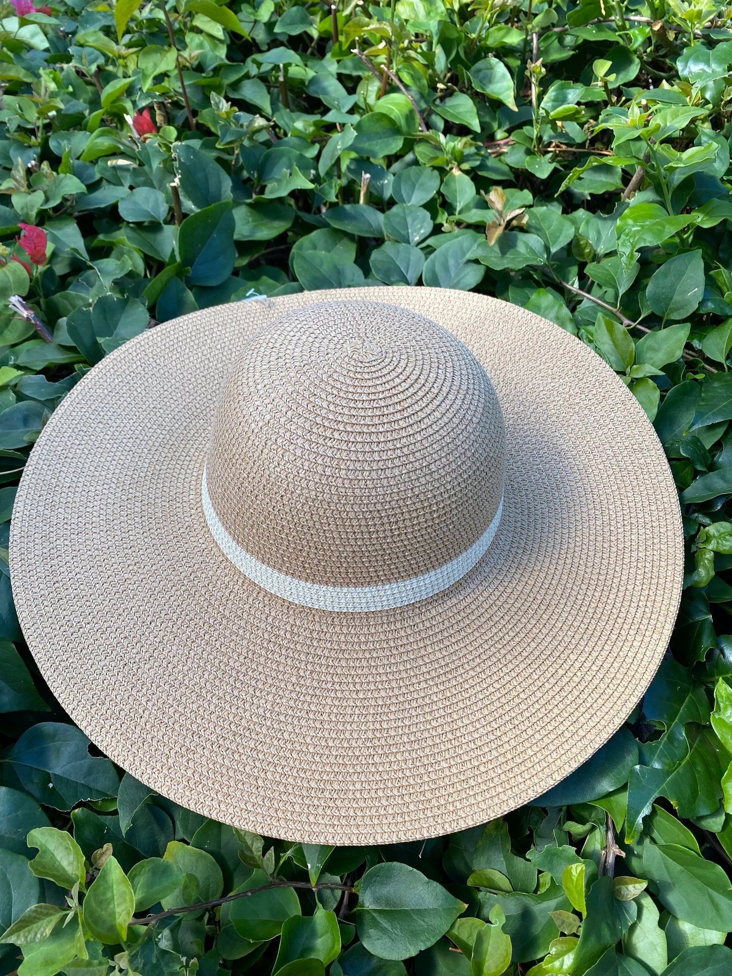 Natural/Beige HAT